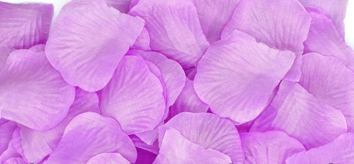 Flower Girl Petals Scatter 100pcs